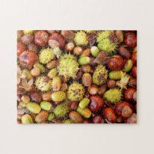 Écrous et marrons d'automne