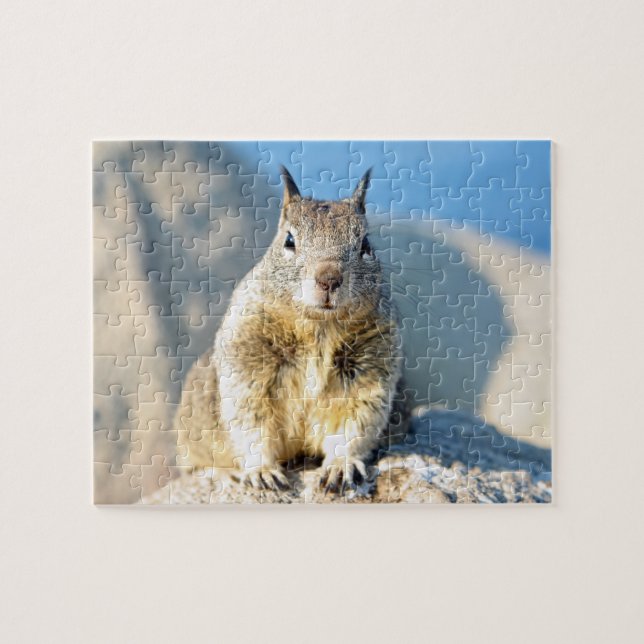 Puzzle Écureuil gris, Monterey Bay, Californie (Horizontal)