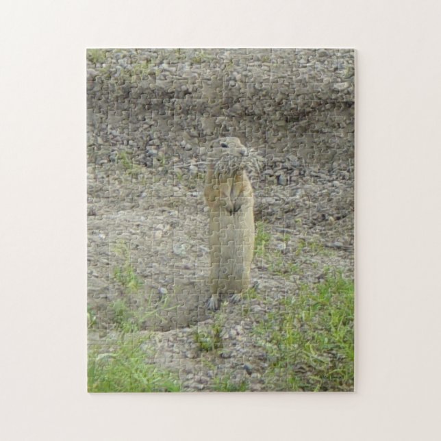 Puzzle Écureuil terrestre de Richardson Gopher (Vertical)