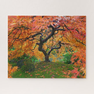 Puzzle Édifice d'automne sur Portland Jardin japonais Éra