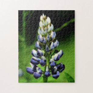 Puzzle Effet Orton simple Lupine Bleue