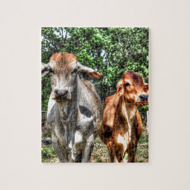 PUZZLE EFFETS RURAUX D'ART DU QUEENSLAND AUSTRALIE DE (Vertical)