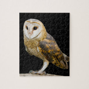 Puzzle Effraie des clochers