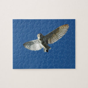 Puzzle Effraie des clochers en vol de jour