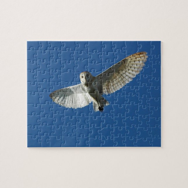 Puzzle Effraie des clochers en vol de jour (Horizontal)
