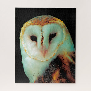 Puzzle Effraies - Oiseaux de proie.