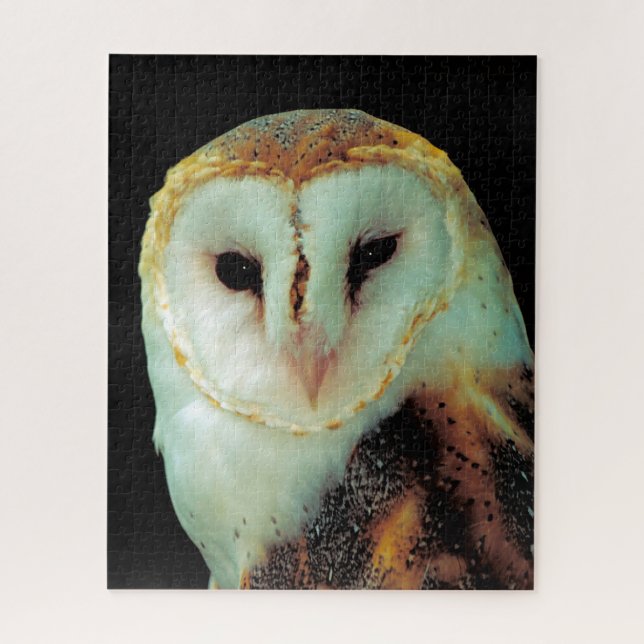Puzzle Effraies - Oiseaux de proie. (Vertical)