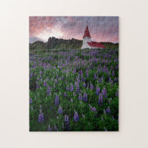 Église dans le champ de Fleurs sauvages lupins en 
