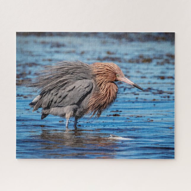 Puzzle Egret rouge sur North Beach (Horizontal)