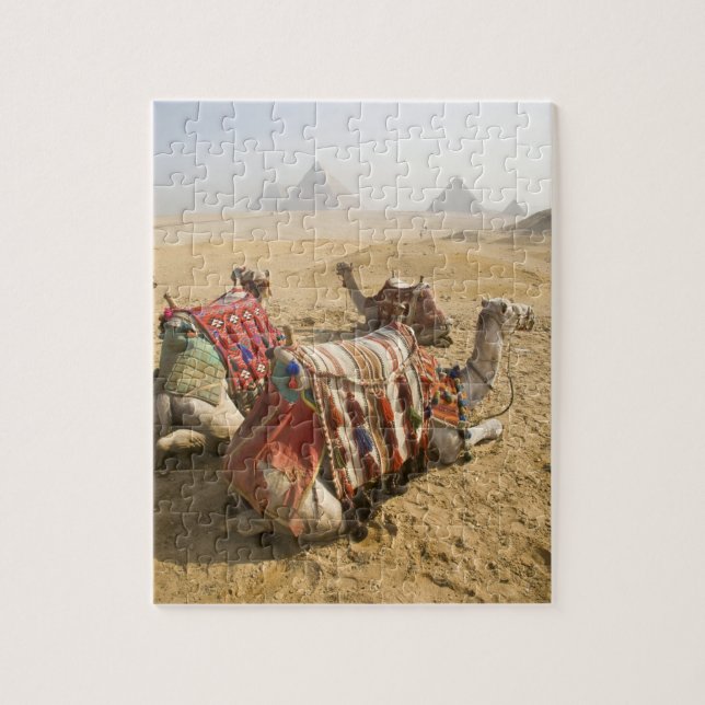 Puzzle Égypte, Le Caire. Chameaux au repos (Vertical)