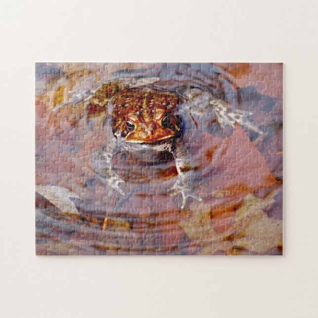 Puzzle Eh bien Bonjour ami Toad (Horizontal)