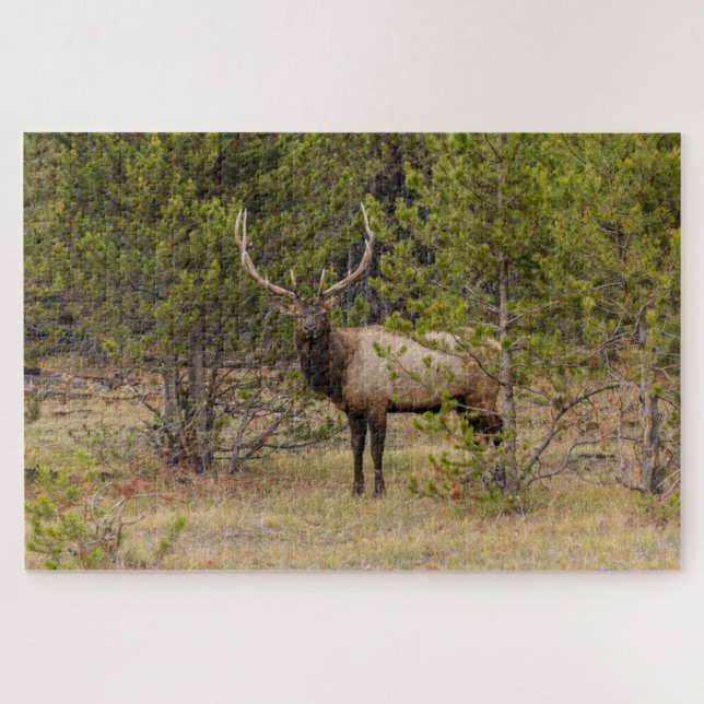 Puzzle Élan mâle | Parc national de Yellowstone (Horizontal)