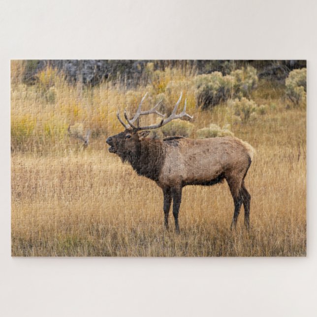 Puzzle Élan mâle | Parc national de Yellowstone (Horizontal)