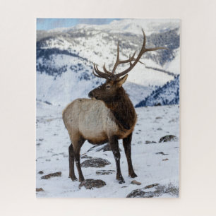 Puzzle Élan mâle solitaire dans la neige Parc national