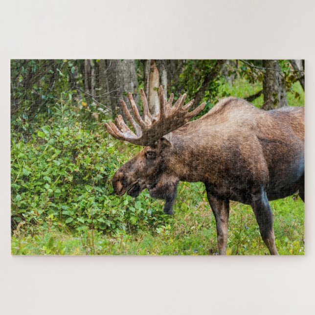 Puzzle Élan | Péninsule de Kenai, Alaska (Horizontal)
