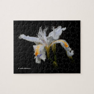 Puzzle Elégante Japonaise Cris Iris Fleurs Blanches