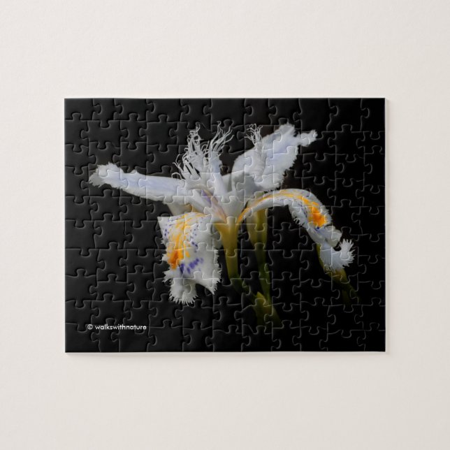 Puzzle Elégante Japonaise Cris Iris Fleurs Blanches (Horizontal)