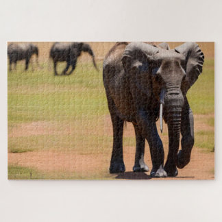 Puzzle Elelphant africain