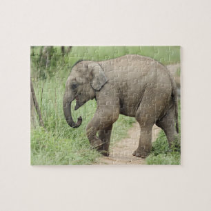 Puzzle Éléphant bébé suivant sa mère, Corbett