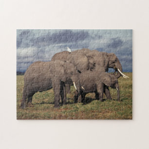 Puzzle Éléphant d'Afrique bébé avec sa famille