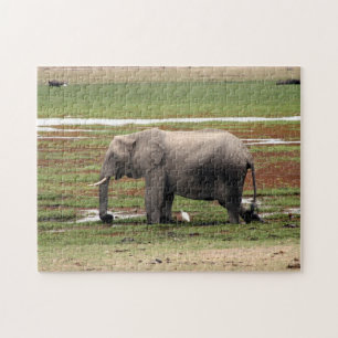 Puzzle éléphant de marais