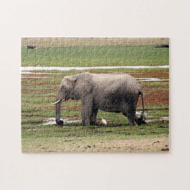 Puzzle éléphant de marais (Horizontal)