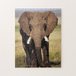 Puzzle Éléphant de savane d'Afrique