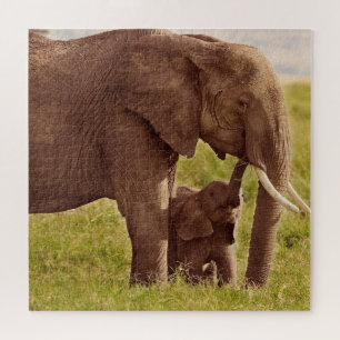Puzzle Éléphant et bébé des images   de Getty