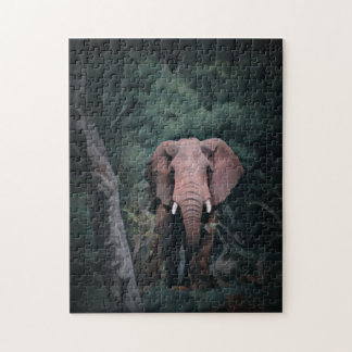 Puzzle Eléphant forestier africain