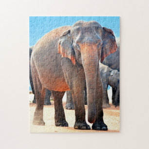 Puzzle Éléphant indien Sri Lanka.