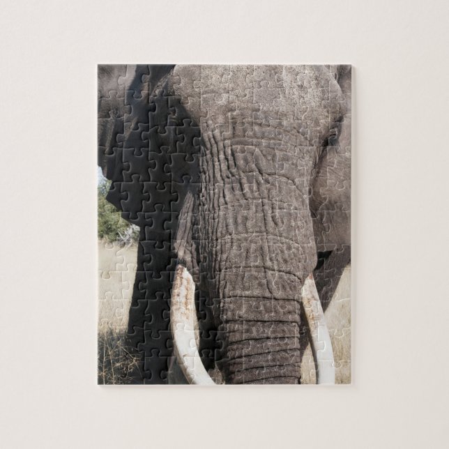 Puzzle Éléphant (Loxodonta africana), Abu Camp 3 (Vertical)