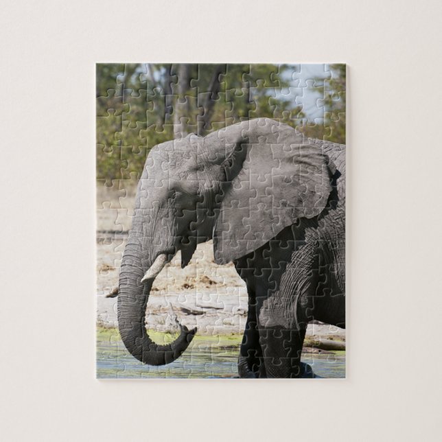 Puzzle Éléphant (Loxodonta africana), Chenal Savute (Vertical)