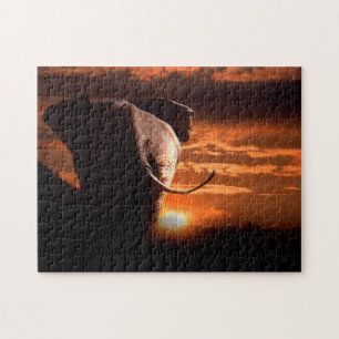 Puzzle Éléphant mâle d'Afrique au coucher du soleil.