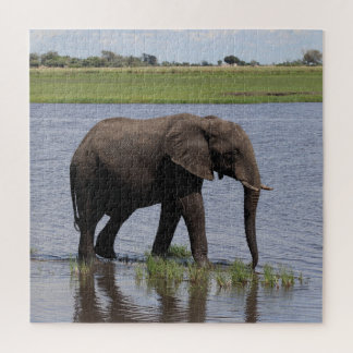 Puzzle éléphant paisible