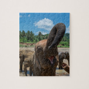 Puzzle Éléphant Sri Lanka