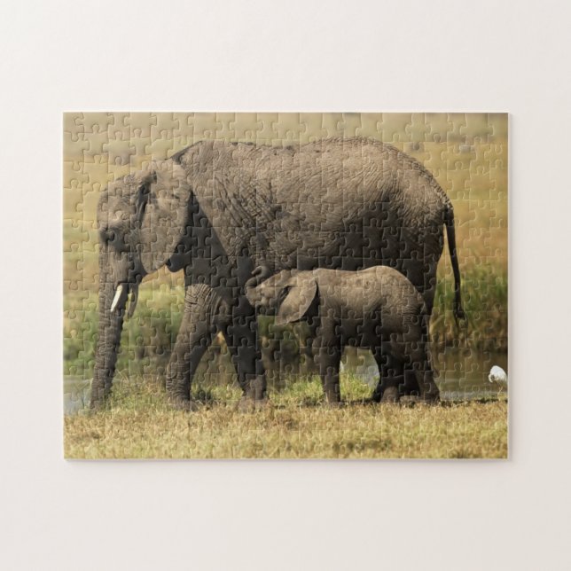 Puzzle Éléphants africains (Horizontal)