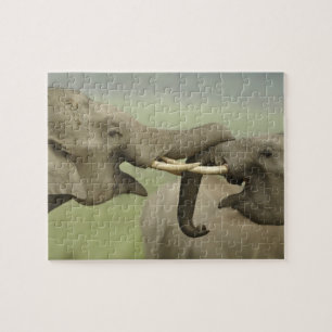 Puzzle Éléphants asiatiques indiens s'amusent à se battre