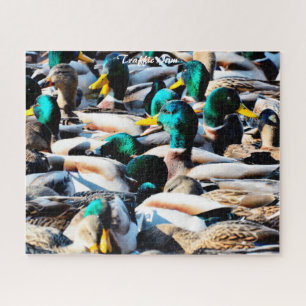 Puzzle Embouteillage de canards colverts