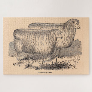 Puzzle Empreinte de brebis Cotswold du 19e siècle