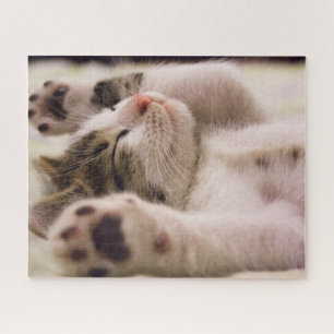 Puzzle en forme de tabby Kitten