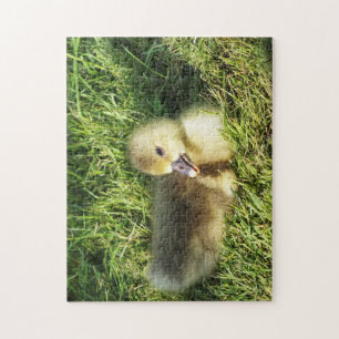 Puzzle enfant mignon dans l'herbe oies