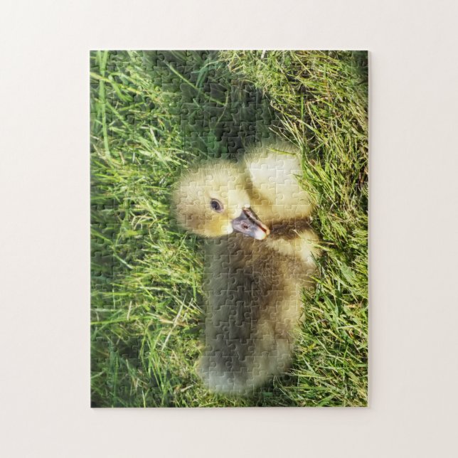 Puzzle enfant mignon dans l'herbe oies  (Vertical)