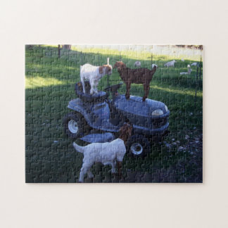 Puzzle Enfants de chèvre en tant que puissance