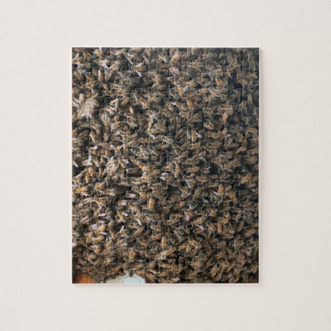 Puzzle Enfoncer (Vertical)