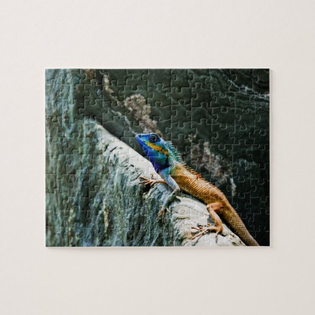 Puzzle énigmes animales (Horizontal)