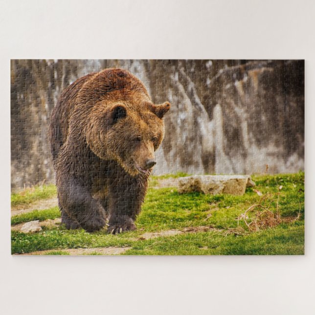 Puzzle Énorme ours grizzly dans l'animal sauvage (Horizontal)