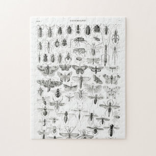 Puzzle Entomologie noir et blanc Insectes Bugs Papier Pla