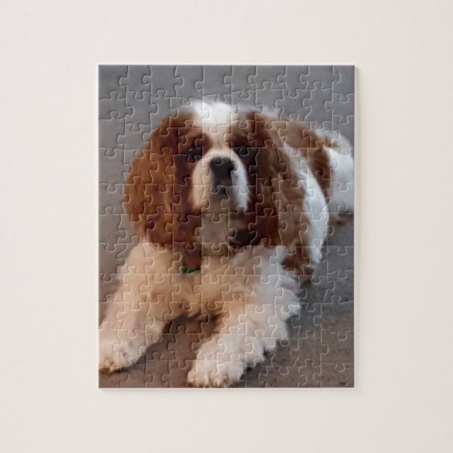 Puzzle Épagneul cavalier adorable du Roi Charles (Vertical)