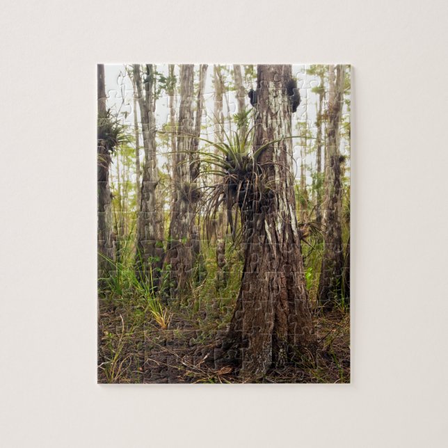 Puzzle Epiphyte Bromeliad dans la forêt de la Floride (Vertical)