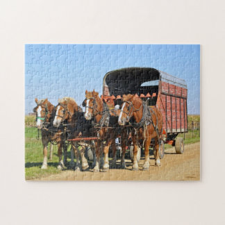 Puzzle Équipe amish de quatre